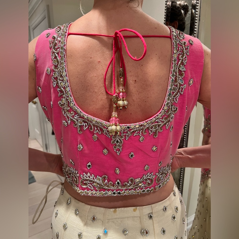 Gorgeous Indian wedding dress - Picture 17 of 17